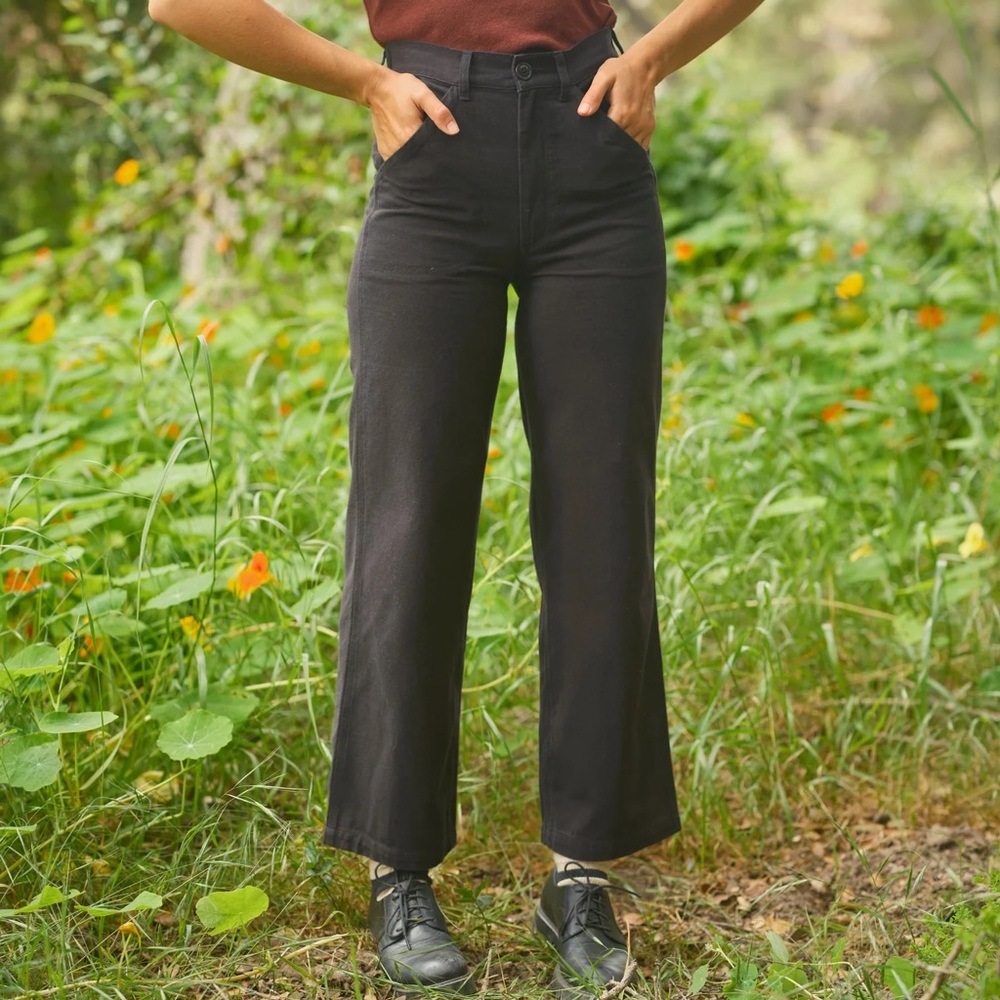 Mollusk Painter Pants